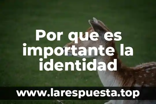 Por que es importante saber sobre echos de el pasado 5 Por que es importante la identidad