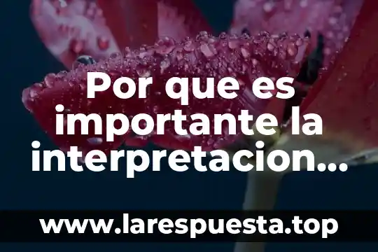 Que es la interpretacion estricta de la ley fiscal 3 Por que es importante la interpretacion juridica