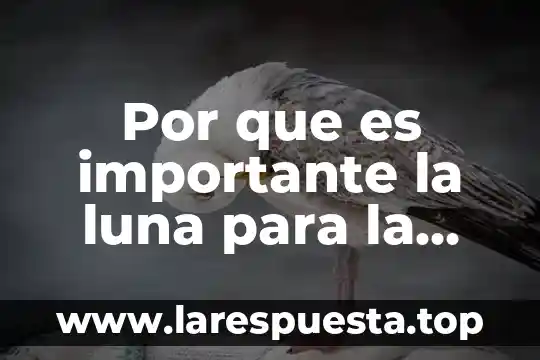 Por que es importante la luna para la tierra