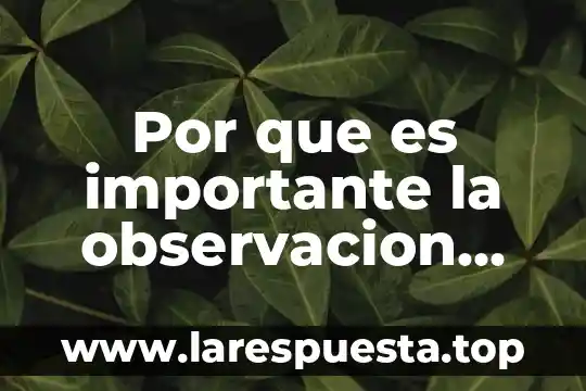 Por que es importante la observacion como instrumento de evaluacion