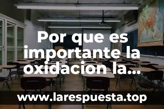 Por que es importante la oxidacion la manzana