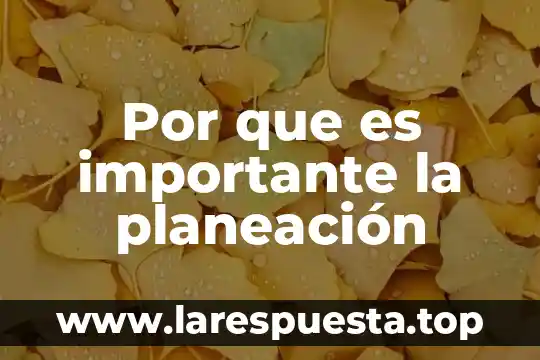 Por que es importante la planeación