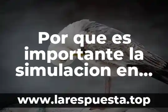 Por que es importante la simulacion en sistemas