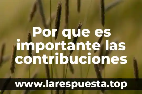 Que es pago de contribuciones y cuotas sin interes 4 Por que es importante las contribuciones