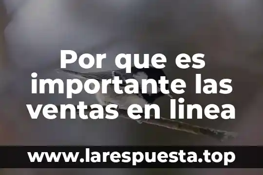 Por que es importante las ventas en linea