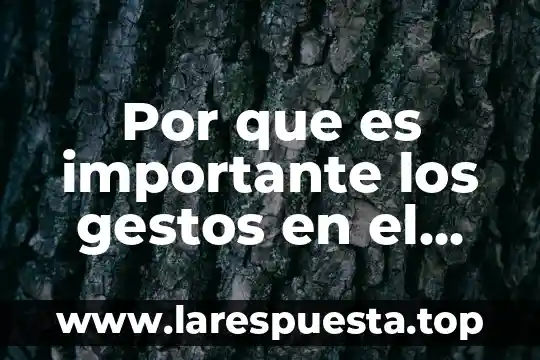 Presentación digital qué es 7 Por que es importante los gestos en el teatro