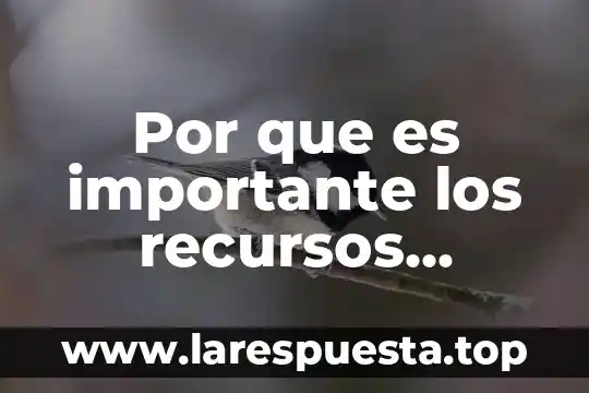 Que es adiestramiento en administracion de recursos humanos 8 Por que es importante los recursos humanos mush galindo