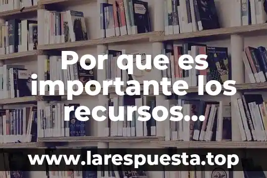 Por que es importante los recursos humanos para un proyecto