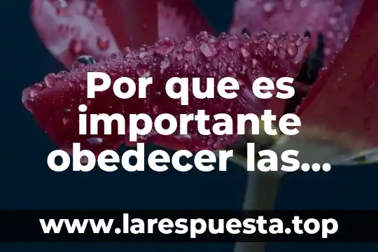 Que es el derecho normas legales 6 Por que es importante obedecer las normas