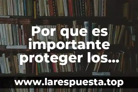 Por que es importante proteger los derechos de autor