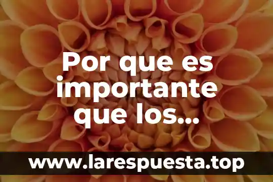 Por que es importante que los estdiantes visten empresas