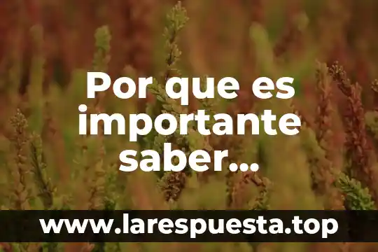 Por que es importante saber contabilidad
