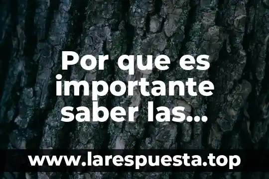 Gluconeogenesis para que es tipos de reacciones 7 Por que es importante saber las reacciones quimicas