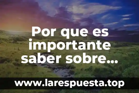 Por que es importante la identidad 3 Por que es importante saber sobre echos de el pasado