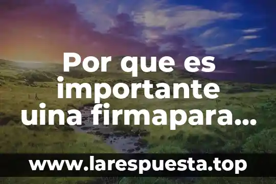 Qué es una carta oferta y sus 6 Por que es importante uina firmapara una carta poder