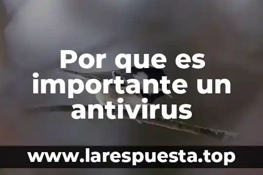 Por que es importante saber planificar una clase 5 Por que es importante un antivirus