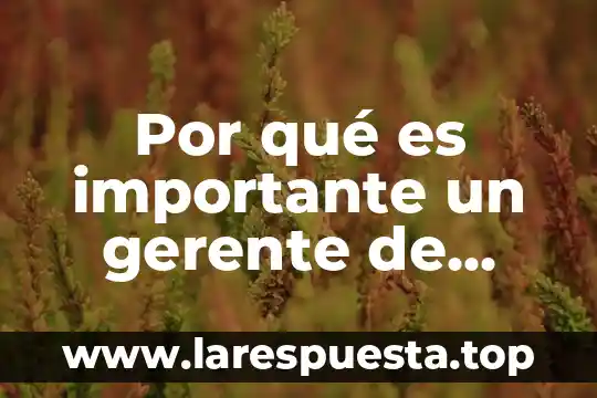 Por qué es importante un gerente de marca