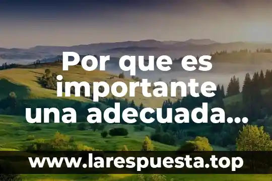 Que es la nutricion autotrofa tipos 3 Por que es importante una adecuada nutricion
