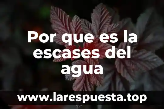 Que es cohesion en fisica del agua 3 Por que es la escases del agua