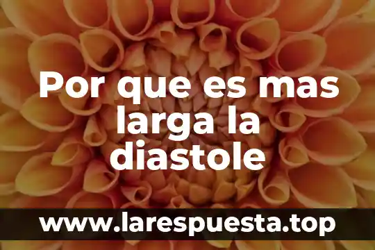 Que es mas largo que un tren 6 Por que es mas larga la diastole