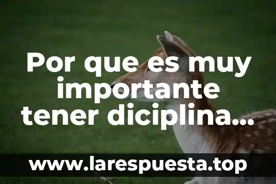 Que es ser tener criterio propio 5 Por que es muy importante tener diciplina escolar