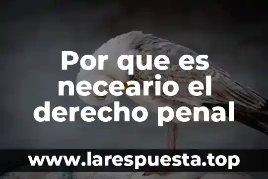 Qué es el derecho edu 7 Por que es neceario el derecho penal