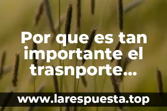 Por que es tan importante el trasnporte global