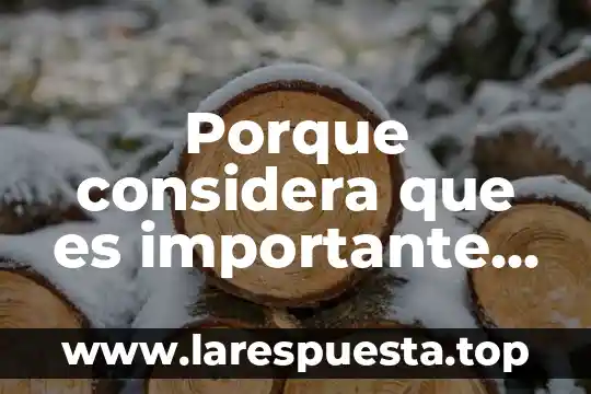 Porque considera que es importante formalizar las empresas en Colombia