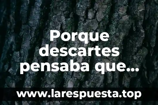 Porque descartes pensaba que es un ser dual