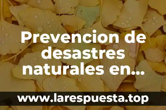 Que es un proyecto de inversion en mexico 8 Prevencion de desastres naturales en mexico que es