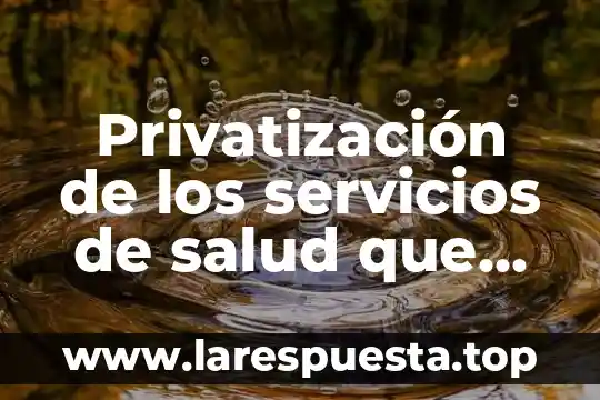 Qué es servicios a terceros 4 Privatización de los servicios de salud que es