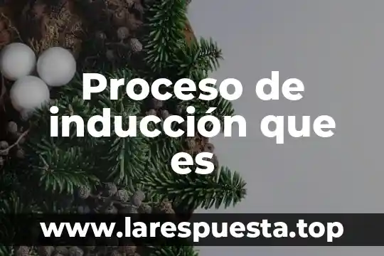 Que es la induccion a la seguridad industrial 3 Proceso de inducci贸n que es