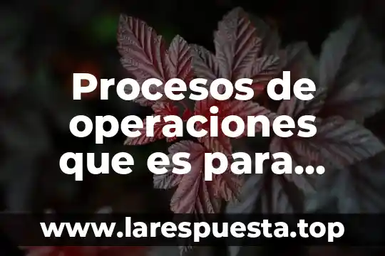 Que es y para que sirven las bocinas de computadora 4 Procesos de operaciones que es para que sirven