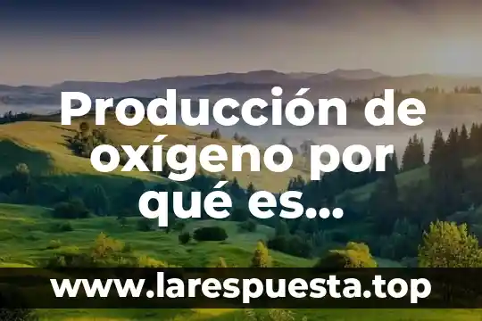 Que es la variable oxigeno disuelto industria 4 Producción de oxígeno por qué es importante