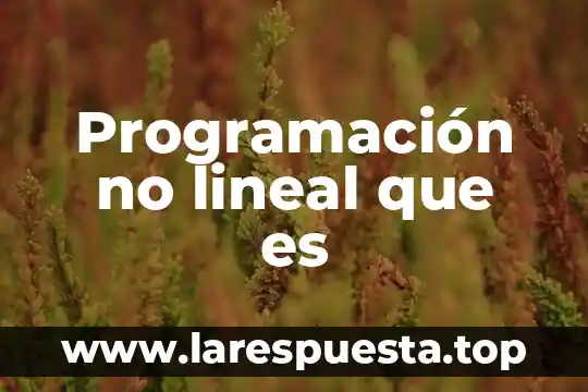 Que es maind en programacion 4 Programación no lineal que es