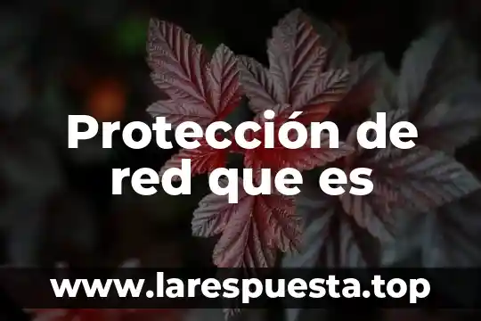Que es el nombre de red especificado facturacion 6 Protección de red que es