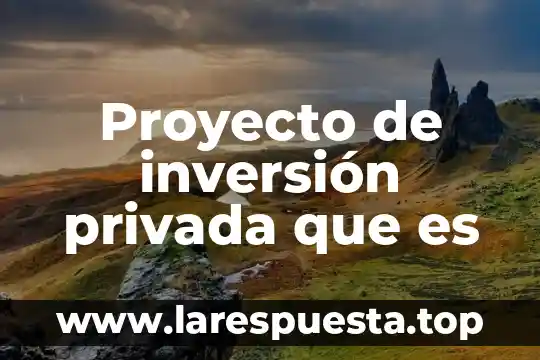 Que es un proyecto de inversion agropecuario 3 Proyecto de inversión privada que es