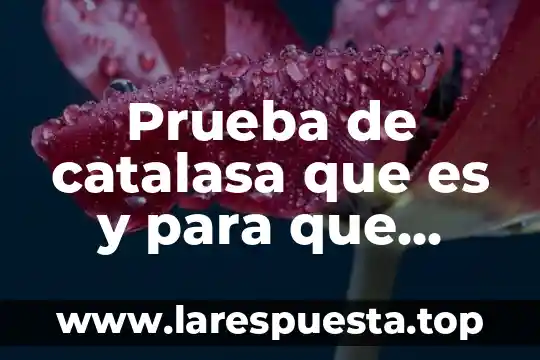 Qué es un presupuesto para qué sirve 6 Prueba de catalasa que es y para que sirve