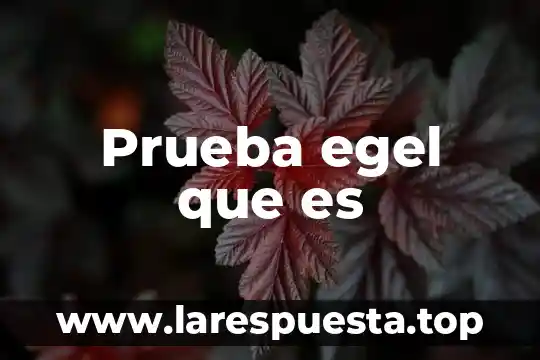 Que es la prueba galifret-granjon 4 Prueba egel que es