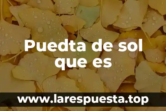 Puedta de sol que es
