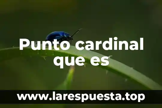Que es el punto optimmo de las enzimas 4 Punto cardinal que es