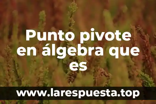 Que es batir punto de nieve en gastronomia 7 Punto pivote en álgebra que es