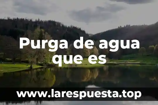 Purga de agua que es