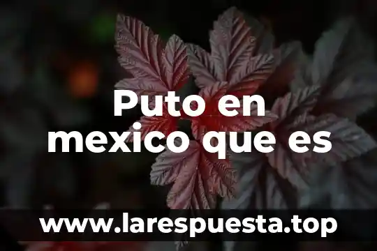 Que es un grupo etnico de mexico 6 Puto en mexico que es