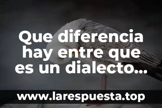 Que diferencia hay entre que es un dialecto y lenguaje