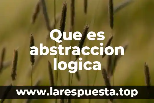 Que es abstraccion logica