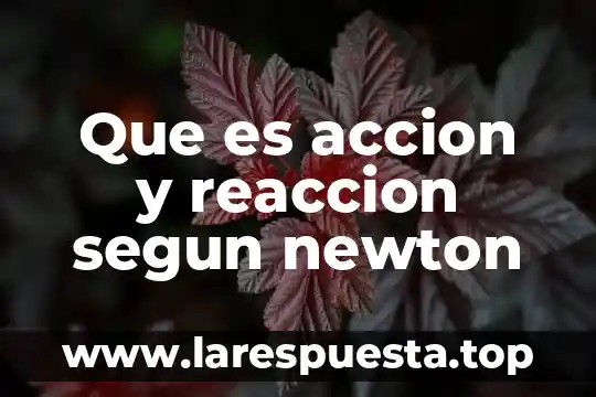 Ley de gravitacion universal de newton que es 5 Que es accion y reaccion segun newton