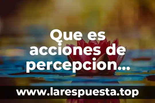 Qué es percepción de control autores 7 Que es acciones de percepcion social