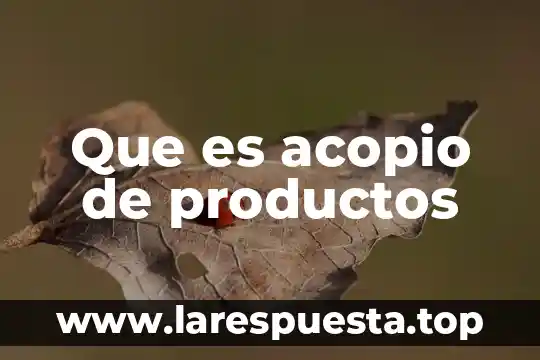 Por que es deñino utilizar productos en aerosol 8 Que es acopio de productos