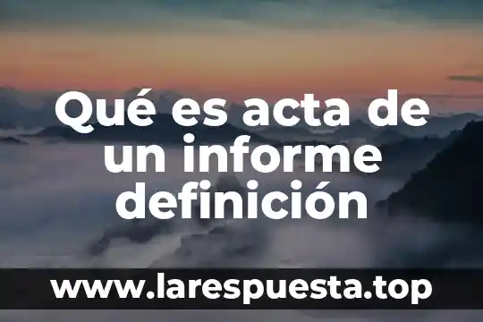 Qué es acta de un informe definición